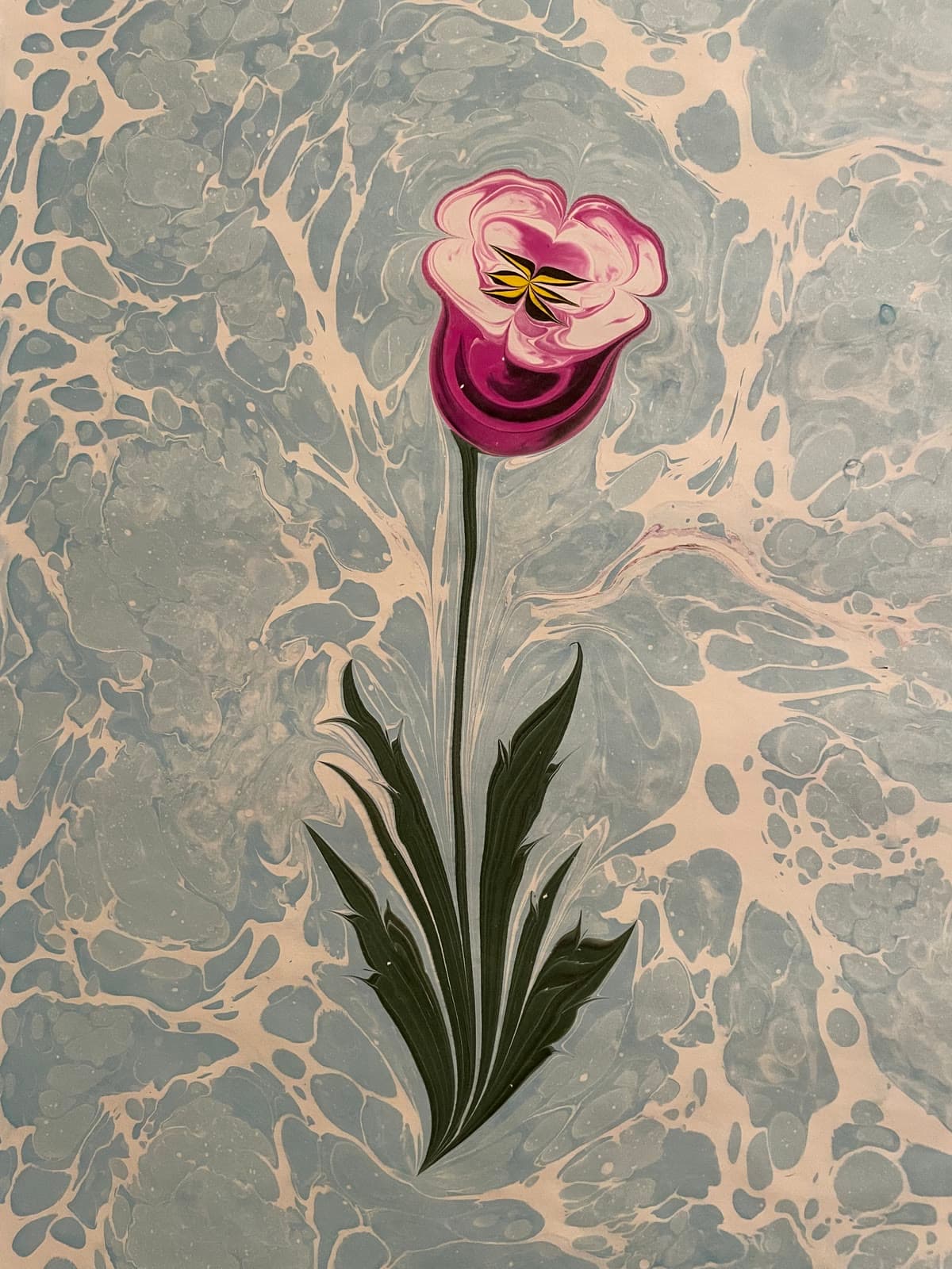 Rose in Rosa und Weiß