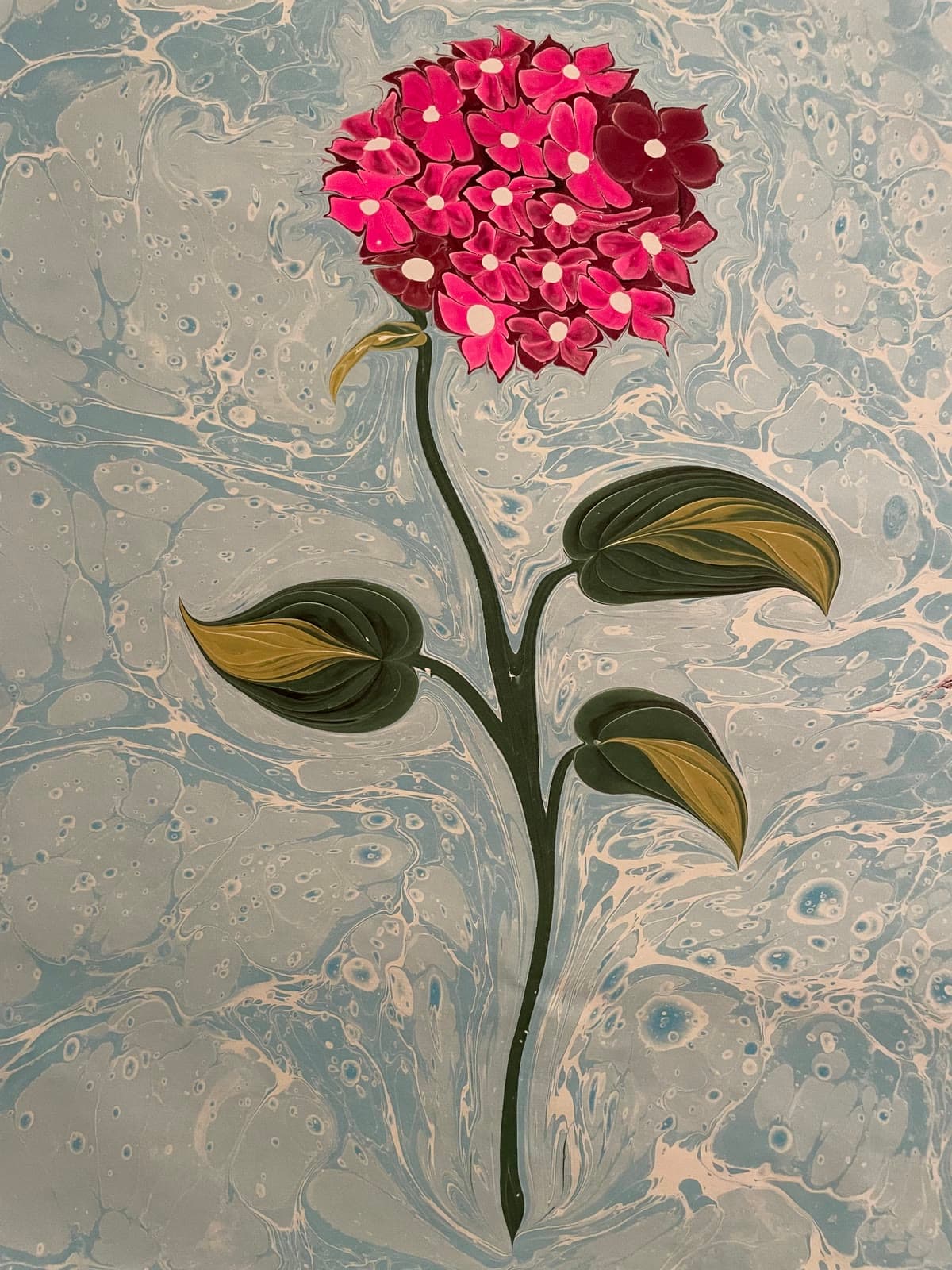Hortensie in Pink mit gelben Blättern