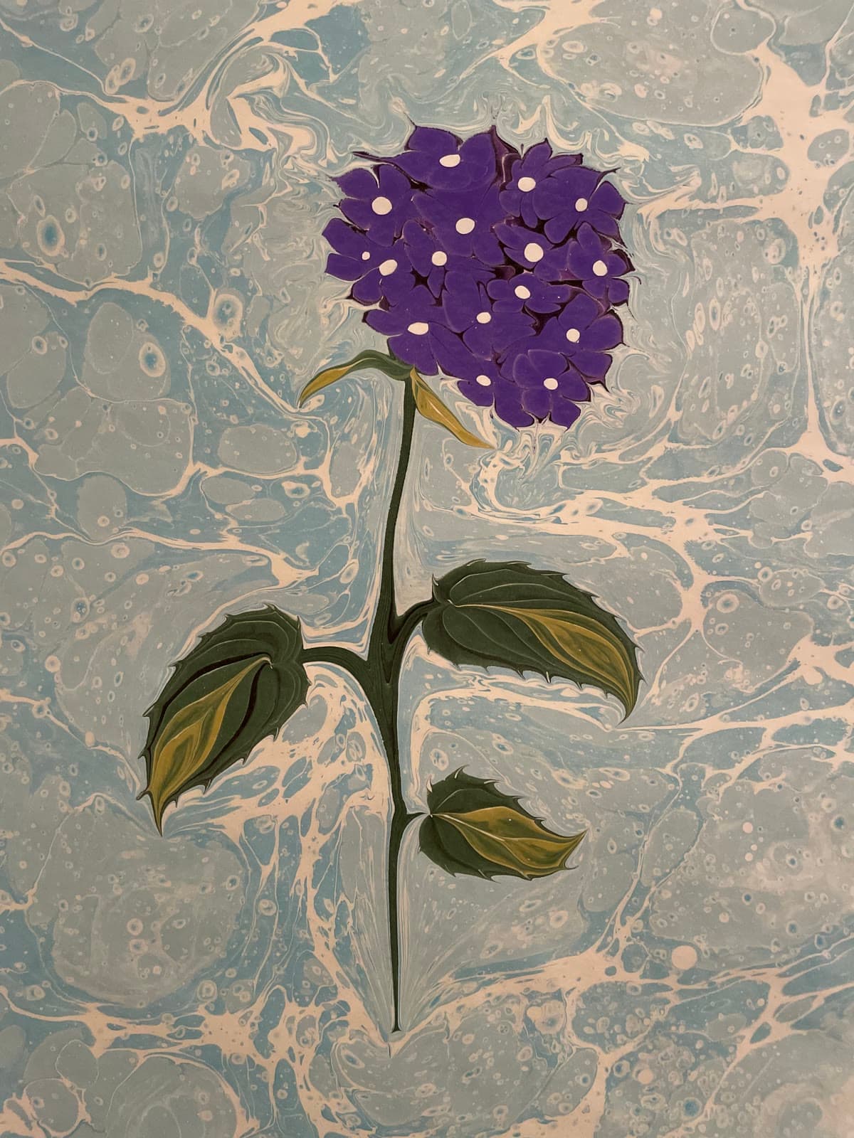 Dichte Hortensie