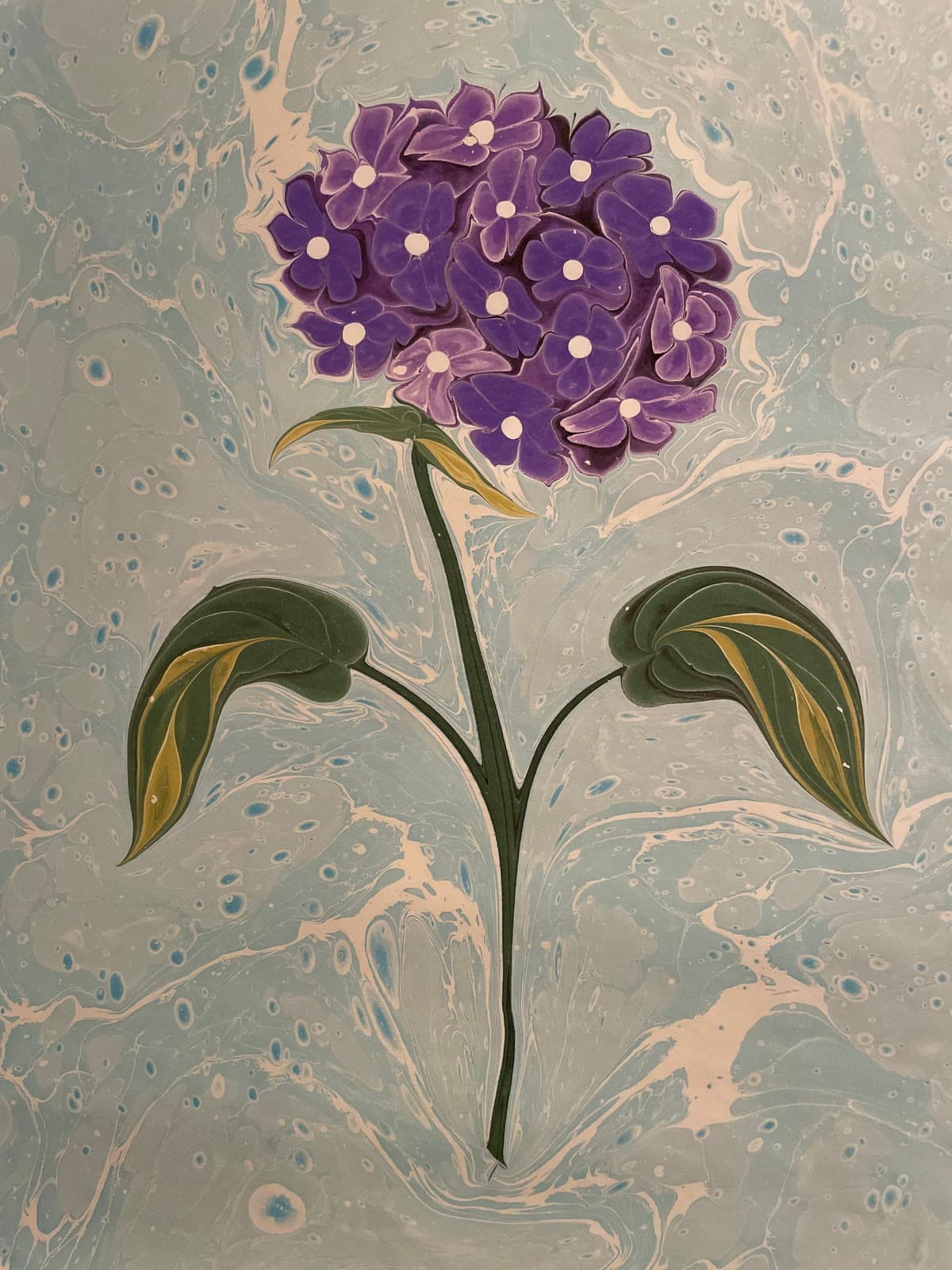 Runde Hortensie