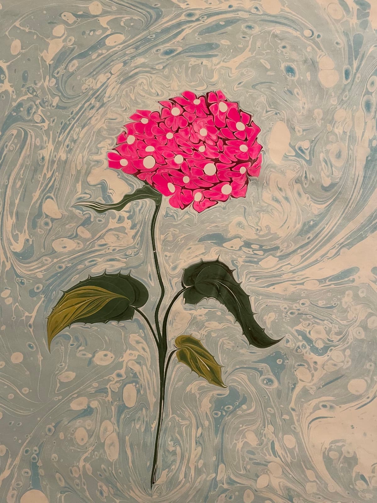Hortensie in Pink