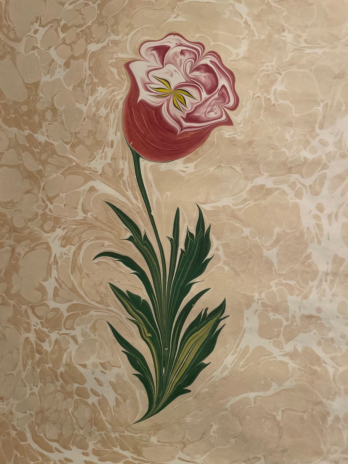 Rose in Rosa