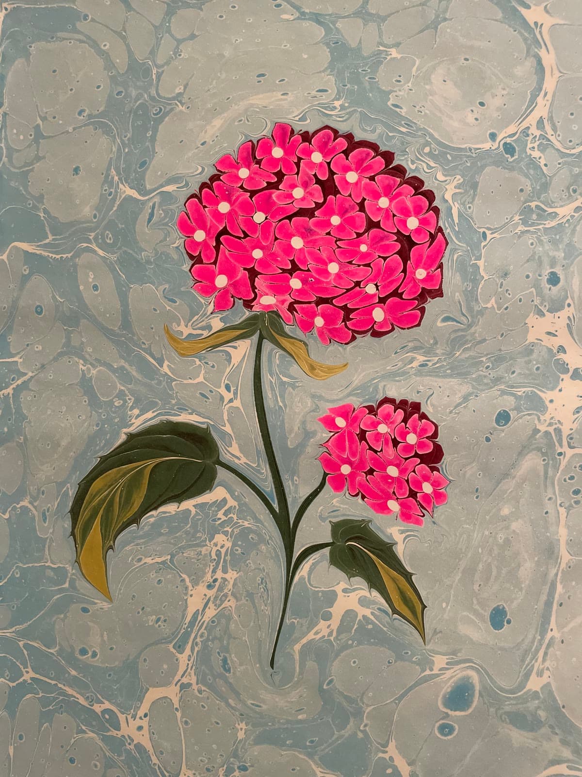 Two Pink Clusters