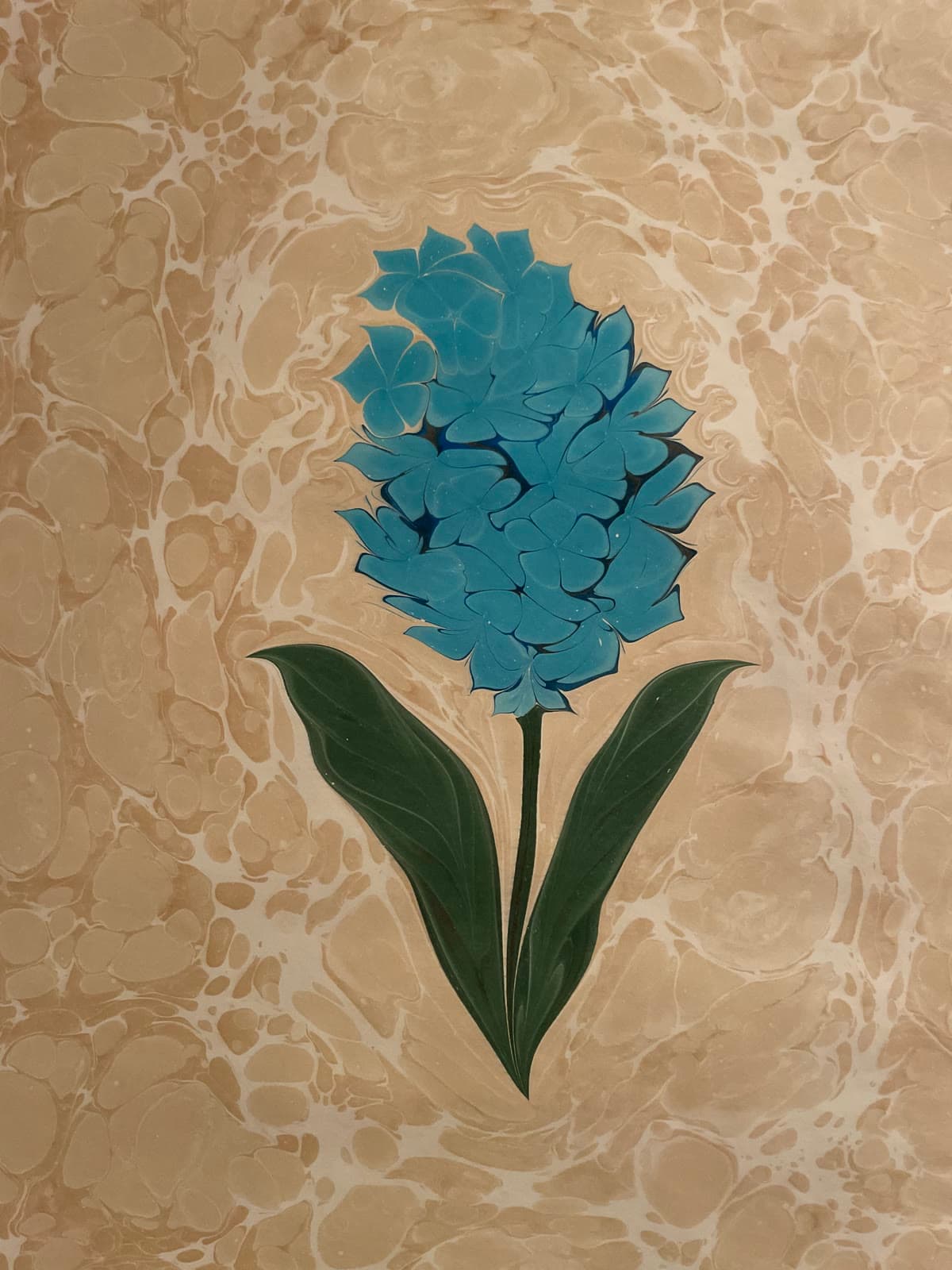 Hyazinthe in Blau