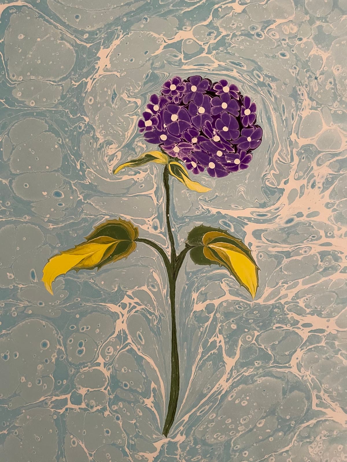 Hortensie mit gelben Blättern