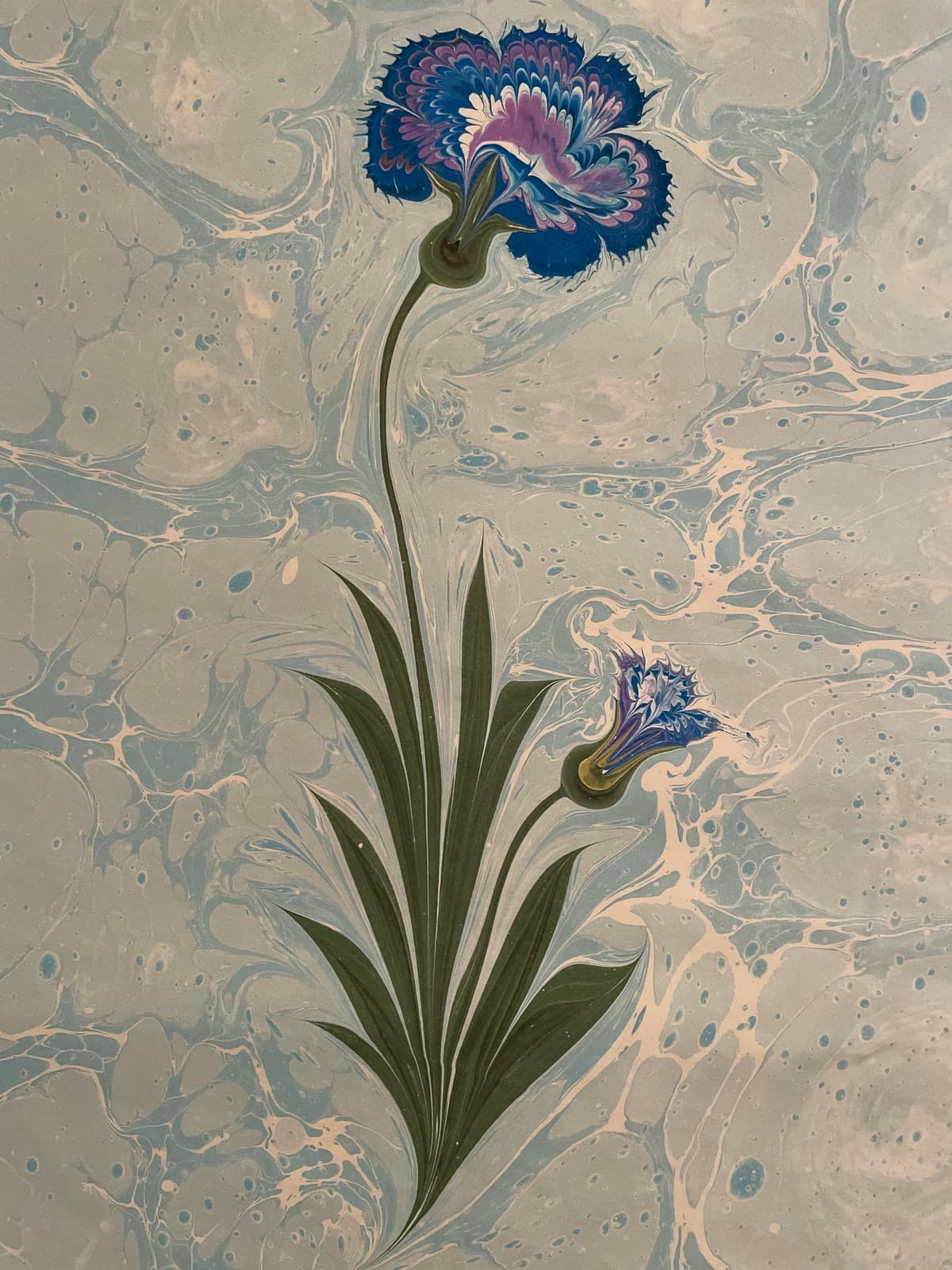 Blaue Nelke mit Knospe