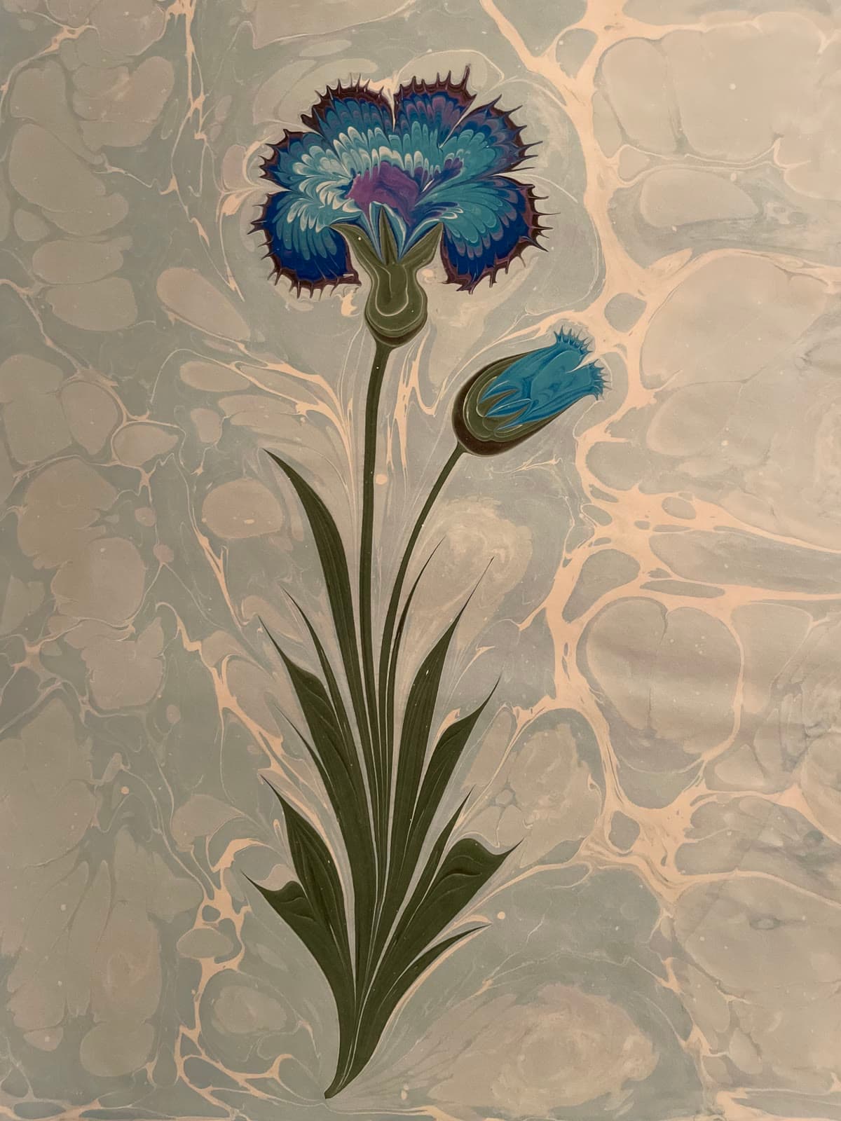 Nelke in Blau und Türkis