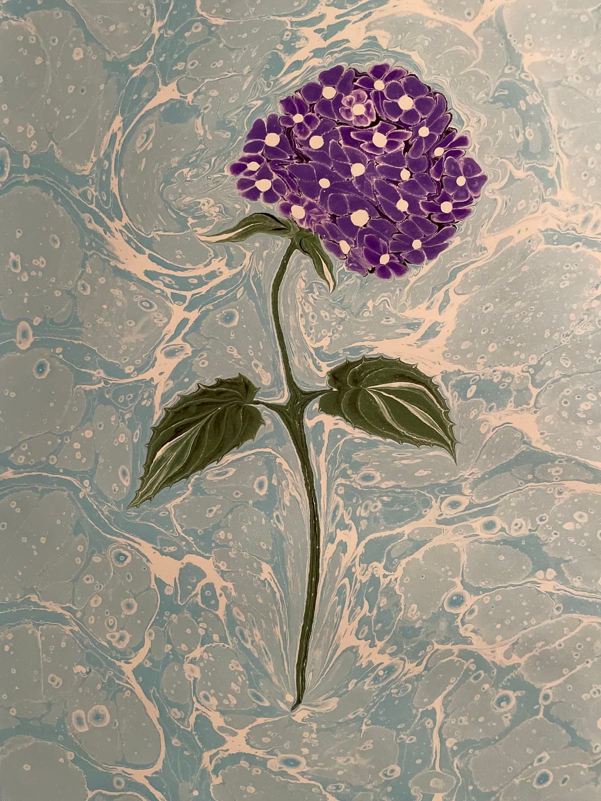 Hohe Hortensie