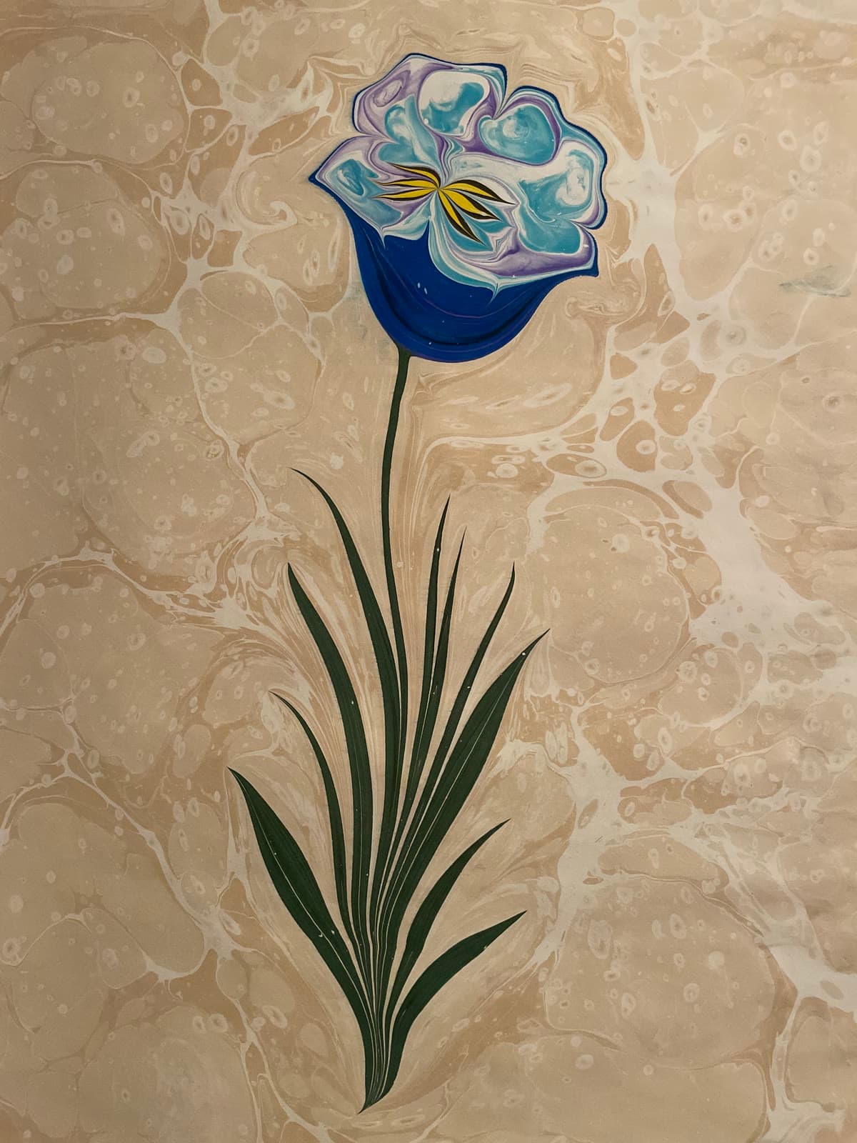 Rose in Blau und Weiß
