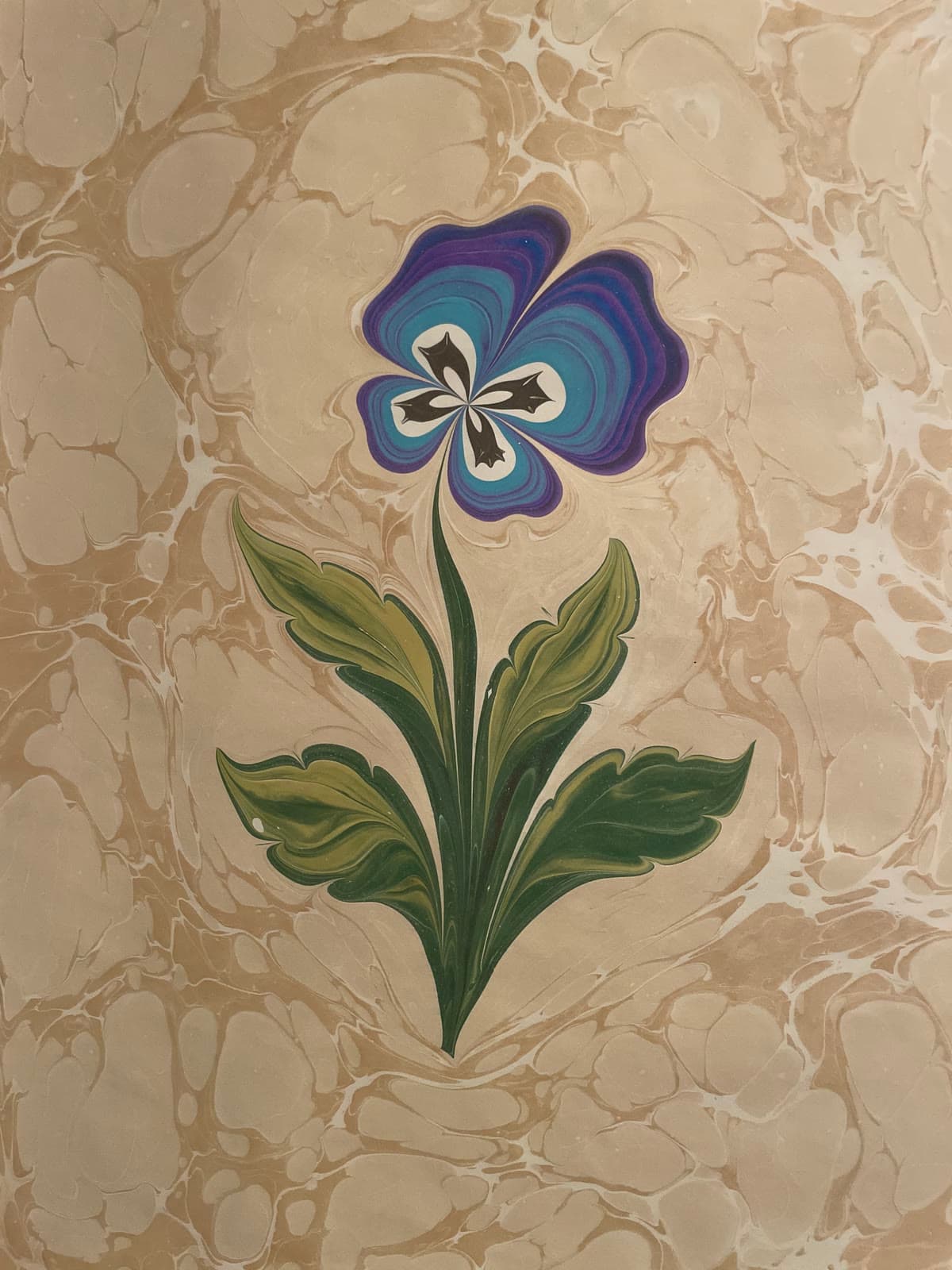 Stiefmütterchen in Violett auf Creme
