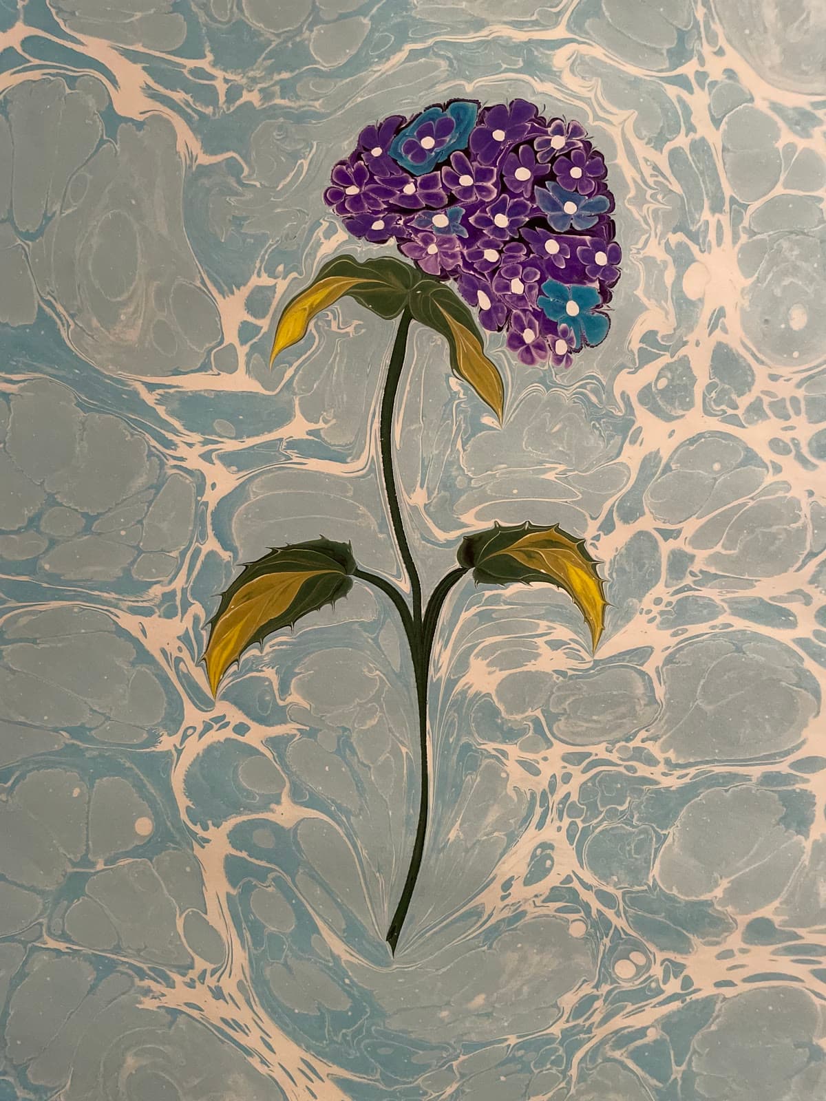 Hortensie in Violett und Blau