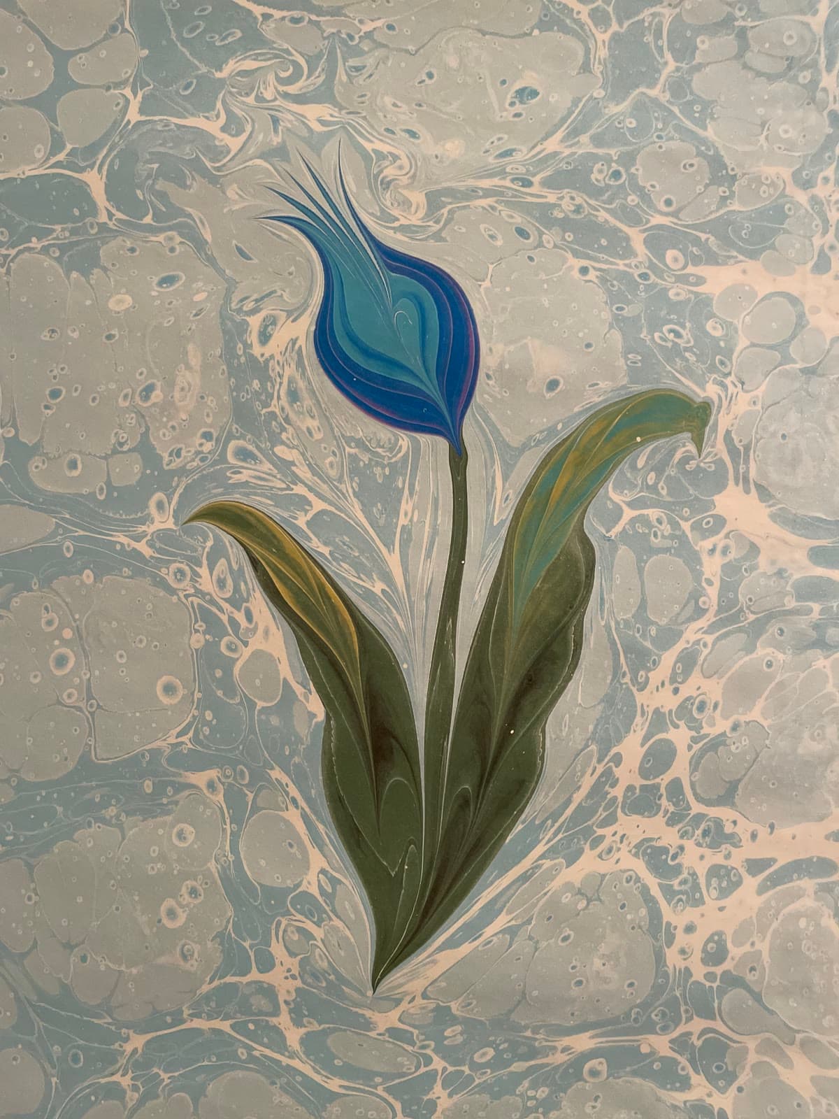 Schlanke blaue Lale