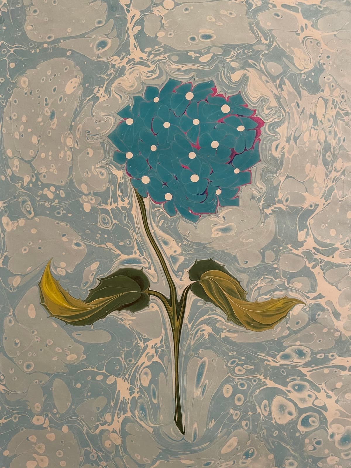Blaue Hortensie
