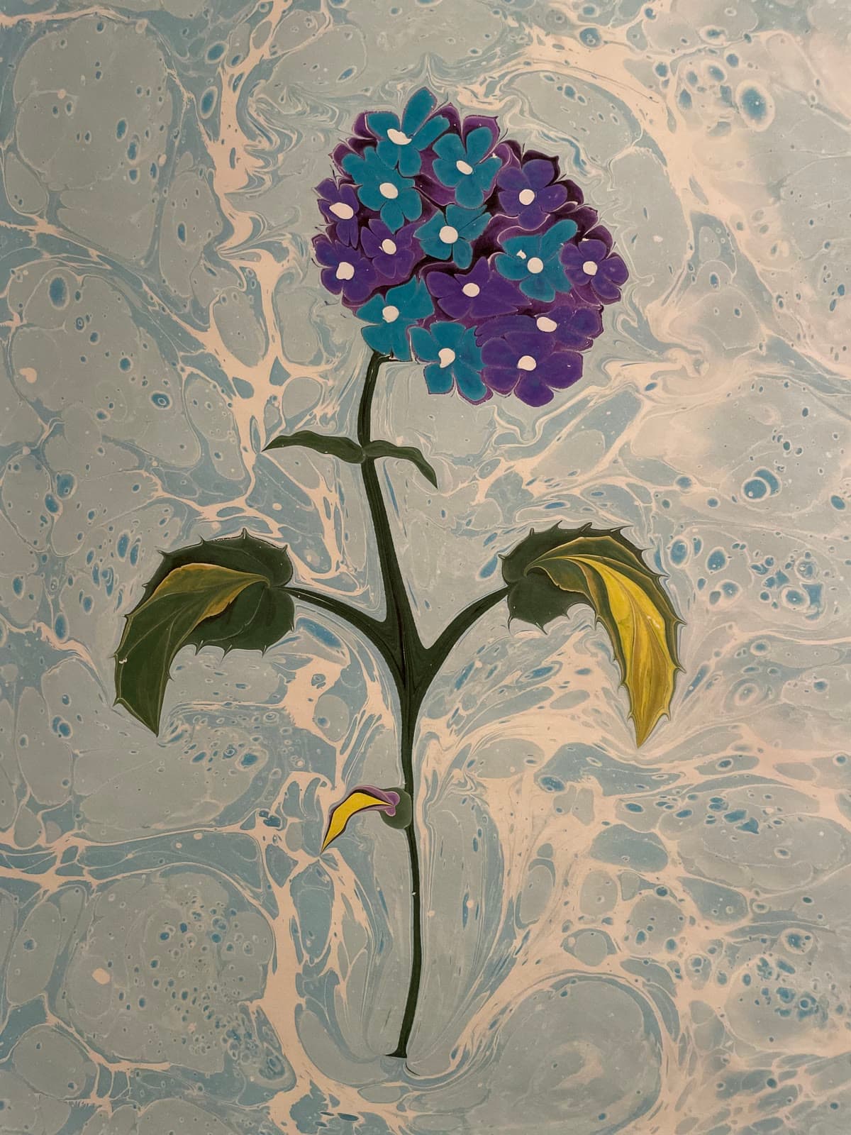 Hortensie in Blau und Violett